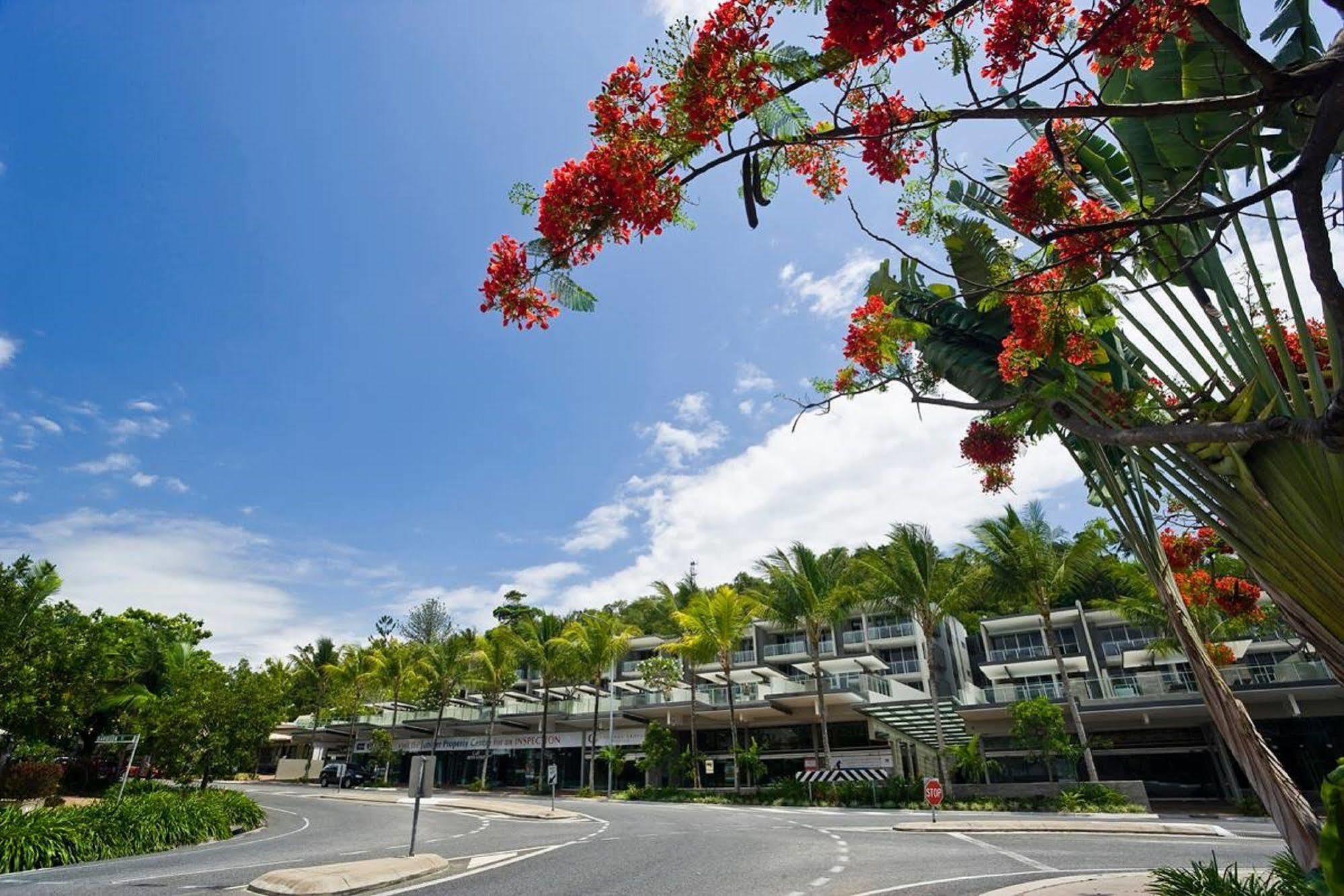 Coconut Grove Aparthotel Port Douglas Buitenkant foto